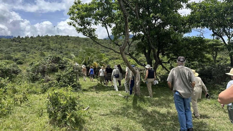 Arusha: National Park Guided Tour with Game Drive & Lunch - What We Love About This Tour