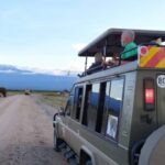 Arusha: Ngorongoro Crater Day Tour - The Route and What to Expect