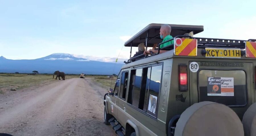 Arusha: Ngorongoro Crater Day Tour - The Route and What to Expect