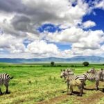 Arusha: Ngorongoro Crater Day Trip with Game Drive - Detailed Breakdown of the Itinerary