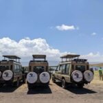 Arusha: Ngorongoro Crater Day Trip with Game Drive - What’s Included and What’s Not