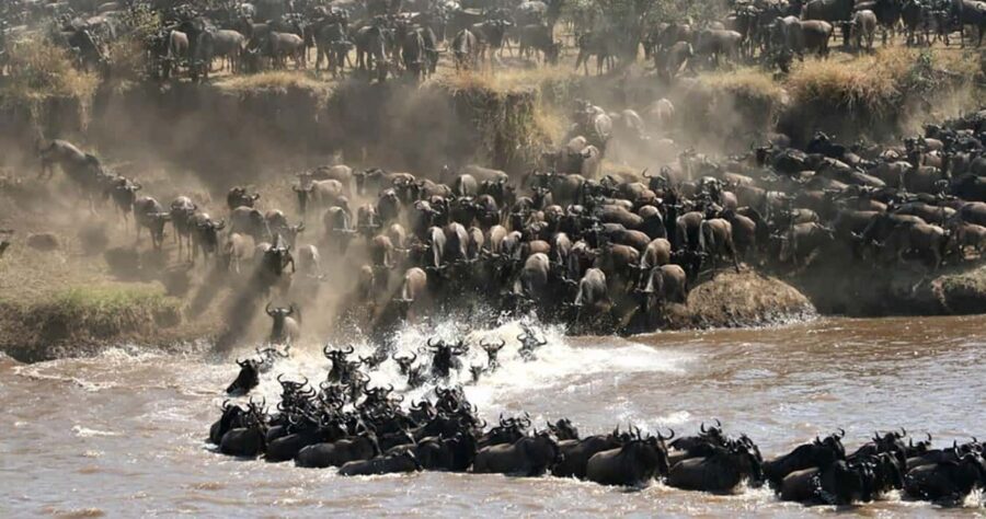 Arusha: Private 3-Day Serengeti Migration Trip - What Makes This Tour Special?