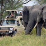 Arusha: Serengeti and Ngorongoro Multi-Day Camping Safari - Practical Details & Tips