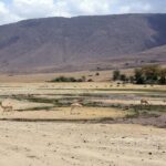 Arusha: Serengeti and Ngorongoro Multi-Day Camping Safari - FAQ