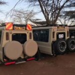 Arusha: Serengeti and Ngorongoro Multi-Day Camping Safari - The Value of the Tour