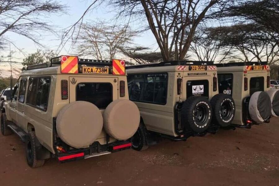 Arusha: Serengeti and Ngorongoro Multi-Day Camping Safari - The Value of the Tour