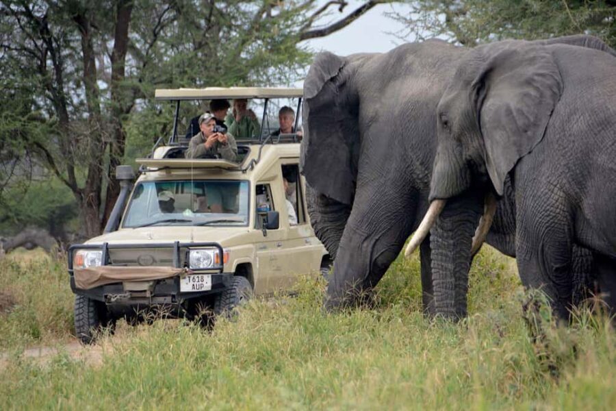Arusha: Serengeti and Ngorongoro Multi-Day Camping Safari - Practical Details & Tips