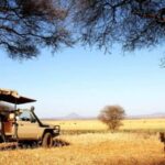 Arusha: Tarangire National Park Day Trip with Safari - The Highlights of the Day