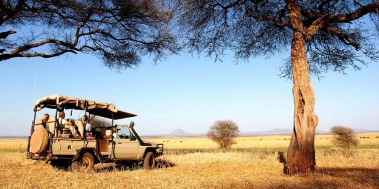 Arusha: Tarangire National Park Day Trip with Safari - The Highlights of the Day
