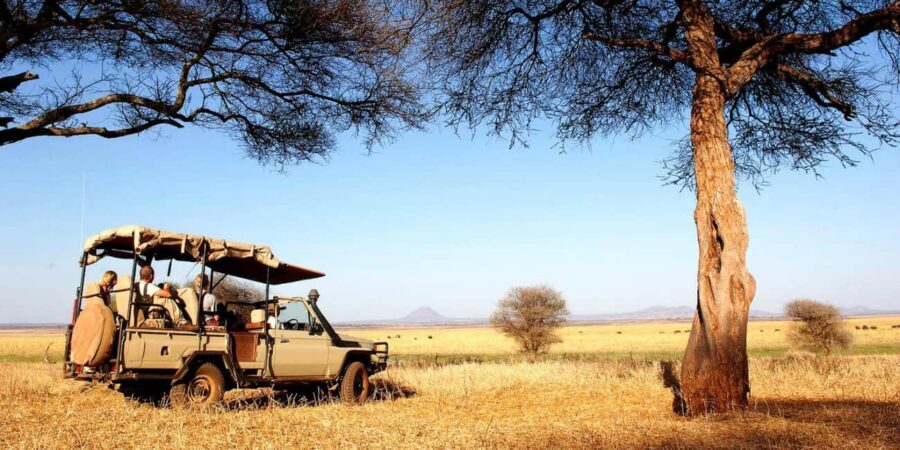 Arusha: Tarangire National Park Day Trip with Safari - The Highlights of the Day