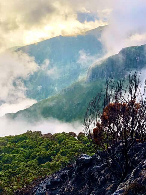 Arusha: Walking Safari in Arusha National Park - FAQs