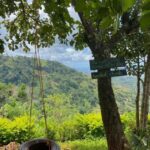 Arusha:Day Trip Safari to Arusha National Park - Why the Price Reflects the Experience