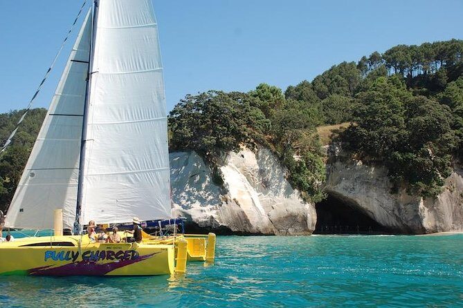 Arvo of goodness Chilled out Sail (3.5hrs) - What Travelers Love Most