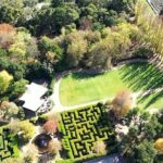 Ashcombe Maze & Lavender Gardens - Practical Details: Visiting and Planning