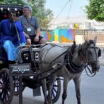 Aswan: Private Horse & Carriage City Tour with Hotel Pickup - How the Tour Unfolds