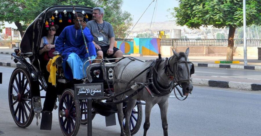 Aswan: Private Horse & Carriage City Tour with Hotel Pickup - How the Tour Unfolds