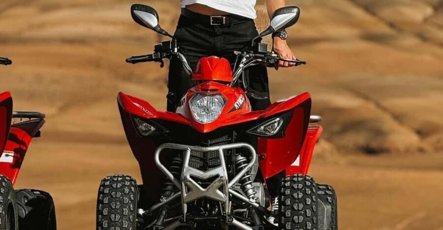 Atlas Mountain & Agafay:Quad Biking and Camel Ride Adventure - Who Will Love This Tour?