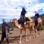 Atlas Mountain & Three Valleys Waterfalls & Desert Day Trip - Why This Tour Offers Real Value