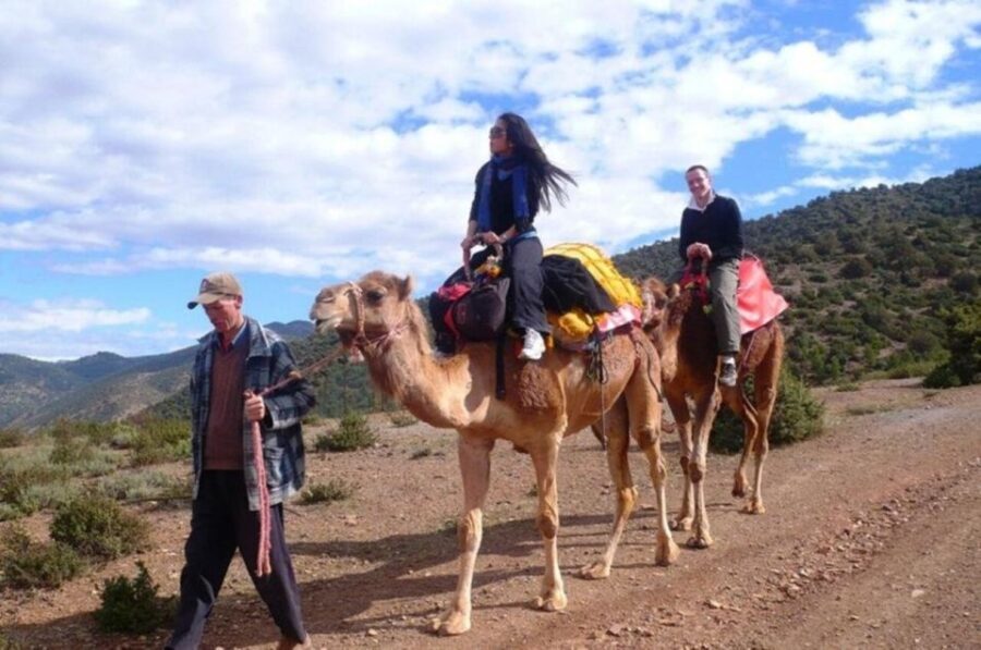 Atlas Mountain & Three Valleys Waterfalls & Desert Day Trip - Why This Tour Offers Real Value
