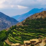 Atlas Mountains & Agafay Desert Dinner: A Majestic Journey - What’s Included and What to Consider