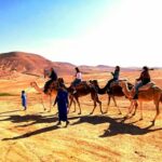 Atlas mountains and Berber villages & waterfall & camel ride - Exploring Berber Villages in the High Atlas