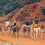 Atlas Mountains: Berber Valleys, Waterfalls & Camel Ride - What’s Included & Additional Details