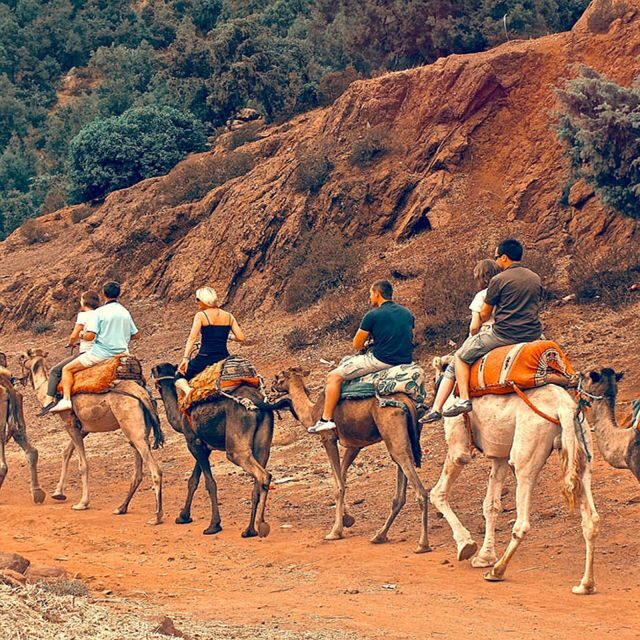 Atlas Mountains: Berber Valleys, Waterfalls & Camel Ride - What’s Included & Additional Details
