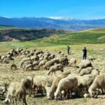 Atlas Mountains: Berber Villages, Waterfalls & Camel Ride - A Detailed Breakdown of the Tour Itinerary