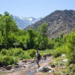 Atlas Mountains Day Trip & lunch in Local Family house - A Closer Look at the Tour Experience