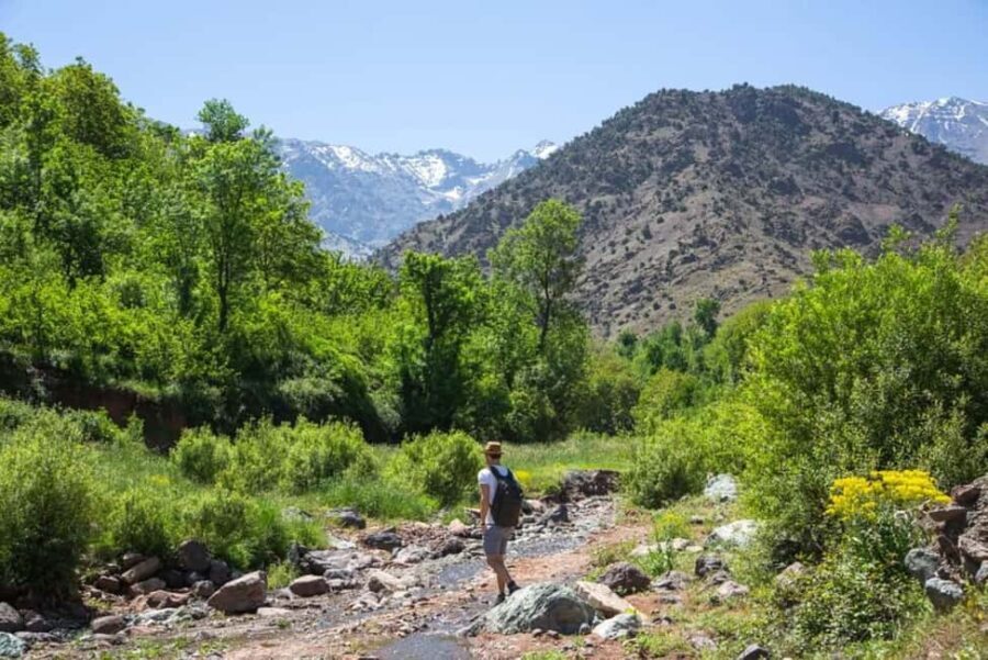 Atlas Mountains Day Trip & lunch in Local Family house - A Closer Look at the Tour Experience