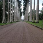 ATV quad bike, Botanical Garden, and Waterfall private tour - What’s Included & Not Included