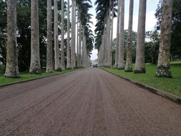 ATV quad bike, Botanical Garden, and Waterfall private tour - What’s Included & Not Included
