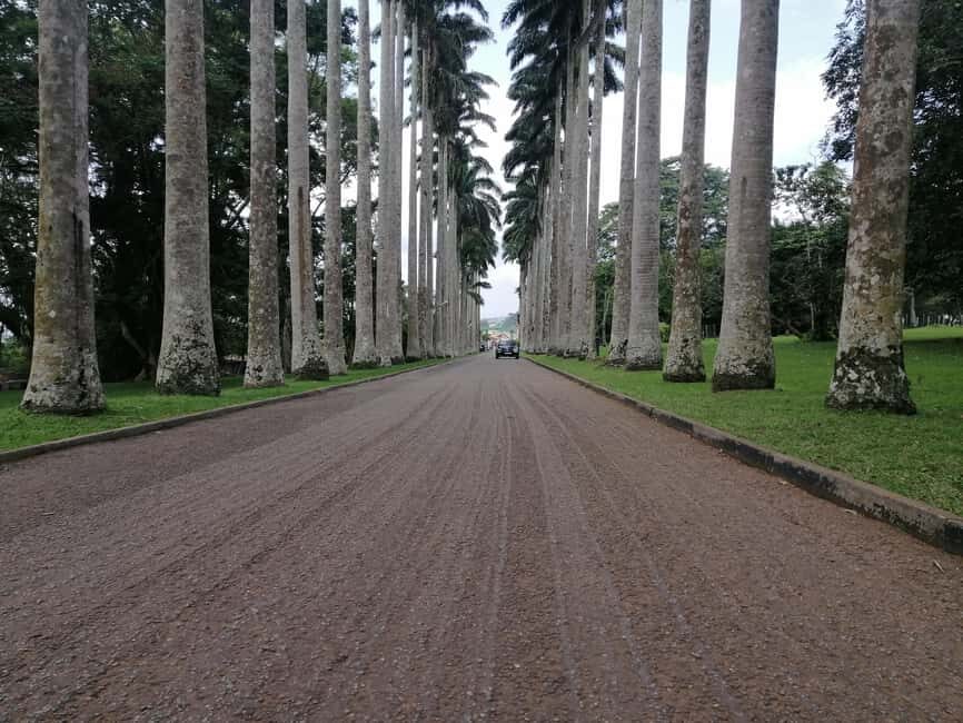 ATV quad bike, Botanical Garden, and Waterfall private tour - What’s Included & Not Included