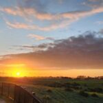 Auckland: Auckland City Tour 4 hours private - An In-Depth Look at What You Can Expect