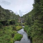 Auckland: Birdwatching, Hiking & Waterfalls Tour - What the Tour Entails