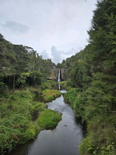 Auckland: Birdwatching, Hiking & Waterfalls Tour - What the Tour Entails