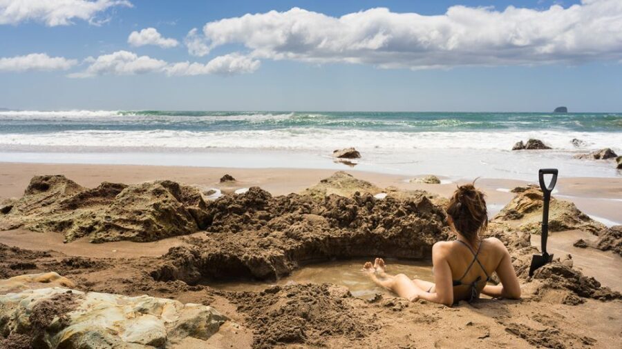Auckland: Cathedral Cove and Coromandel Small Group Tours - The Day in Detail: What to Expect