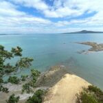 Auckland City and West Coast Full Day Tour - Transportation and Logistics