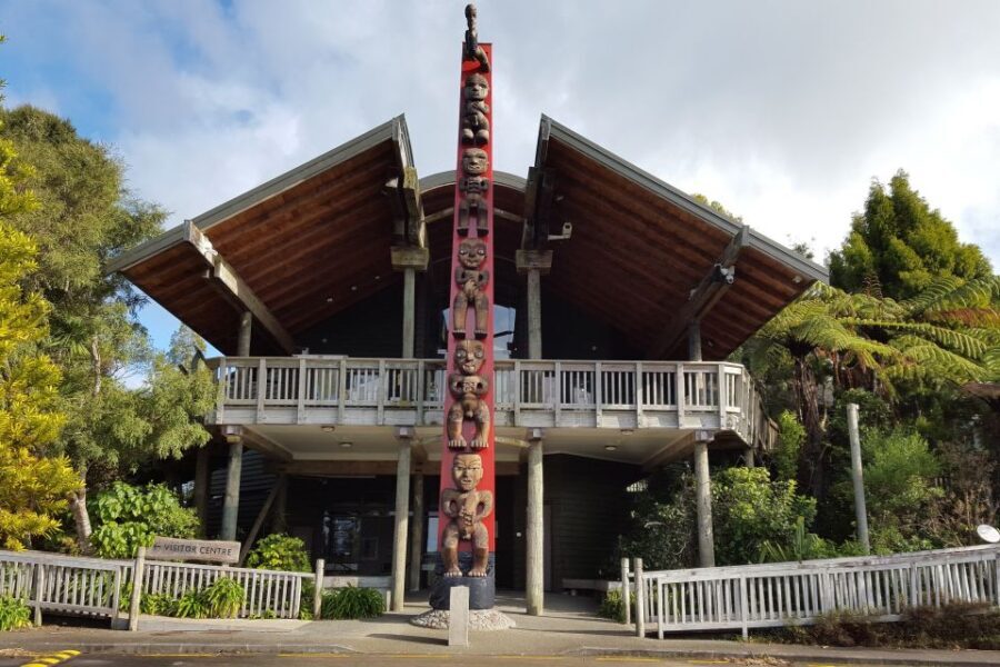Auckland City, Beaches & Rainforest Premium Small Group Tour - Why This Tour Works Well