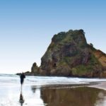 Auckland City Highlights, Afternoon Piha Beach & Rainforest Tour - Who Would Love This Tour?