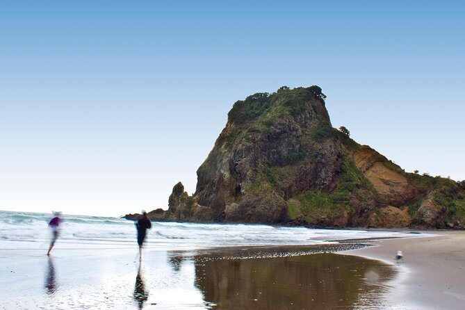 Auckland City Highlights, Afternoon Piha Beach & Rainforest Tour - Who Would Love This Tour?
