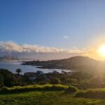 Auckland City Highlights Full Day Tour - Analyzing the Value