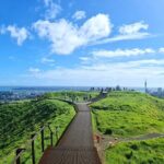 Auckland City Highlights Half Day Tour - Why This Tour Works Well