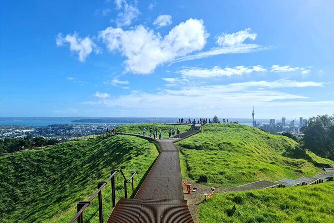Auckland City Highlights Half Day Tour - Why This Tour Works Well