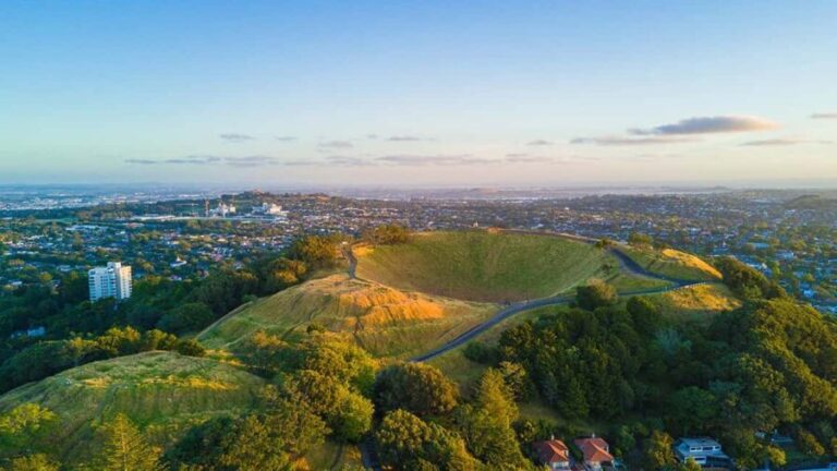 Auckland City Highlights Small-Group Tour (Half-Day) - What Does the Tour Offer?