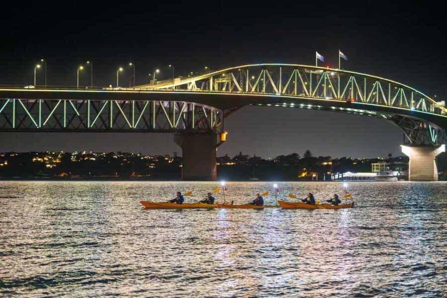 Auckland: City Lights Night Kayak Tour - Why You’ll Love This Tour