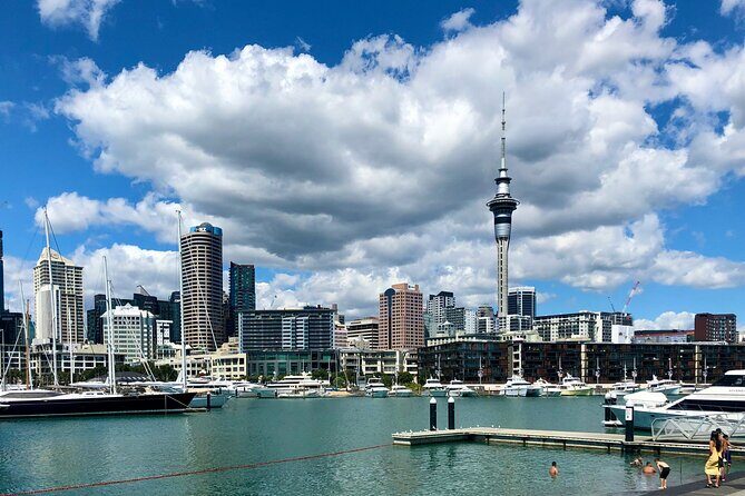 Auckland City Top Sights Half Day Tour - Small Group - Why This Tour Offers Great Value
