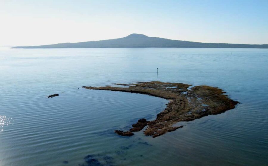 Auckland: City Tour with Wine Tasting and Black Sand Beach - The Practical Side: What You Need to Know