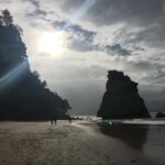 Auckland: Coromandel Day Tour including Hot Water Beach - Authentic Experiences That Stand Out