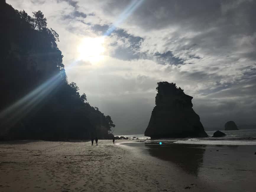 Auckland: Coromandel Day Tour including Hot Water Beach - Authentic Experiences That Stand Out
